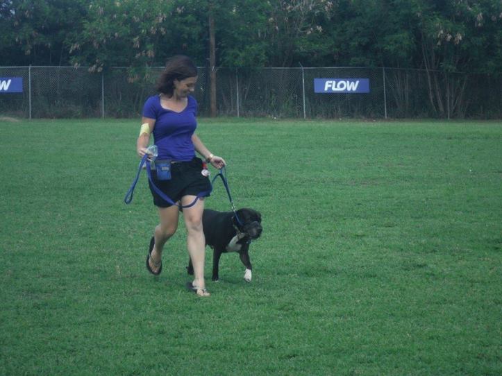 15823614_213526029108120_7191315004838987200_n