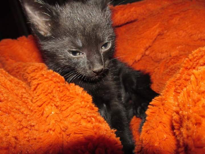 FB_IMG_1497930135884