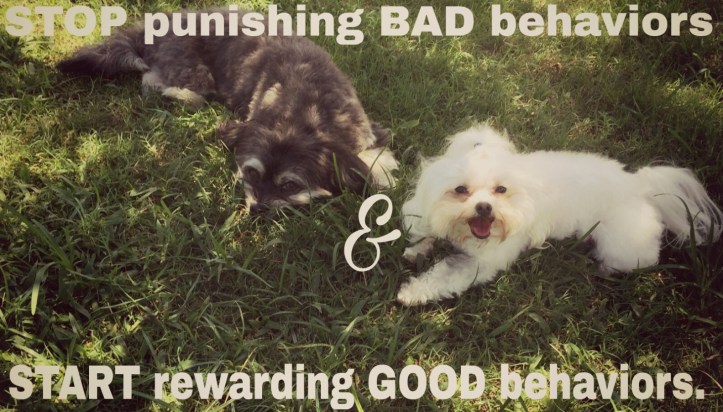 picsart_06-18-10-32-13