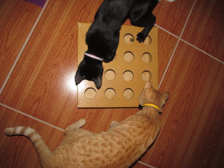 14570606_10100374479476980_829178403169809269_o